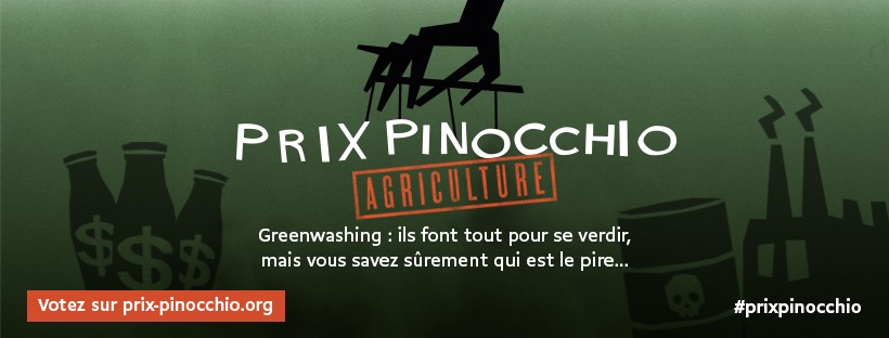 Pirx Pinocchio 2020