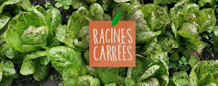 Logo Racines Carrées