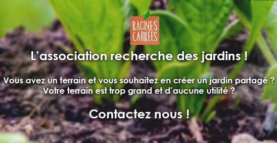 Plantons des jardins partagés avec Racines Carrées !